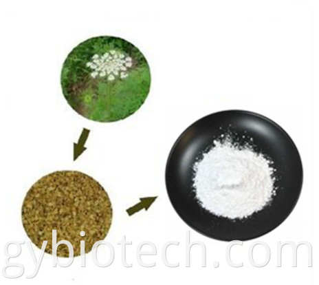 Cnidium monnieri extract